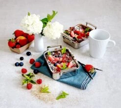 Cristel Mini Braadslede 12 X 10 Cm Rvs 8 Cristel Mini Braadslede 12 X 10 Cm Rvs -Kamado Joe Verkoop 4 md clafoutisminiplat