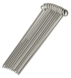 Oldenhof Vleesspies 35 Cm Rvs 12 Stuks