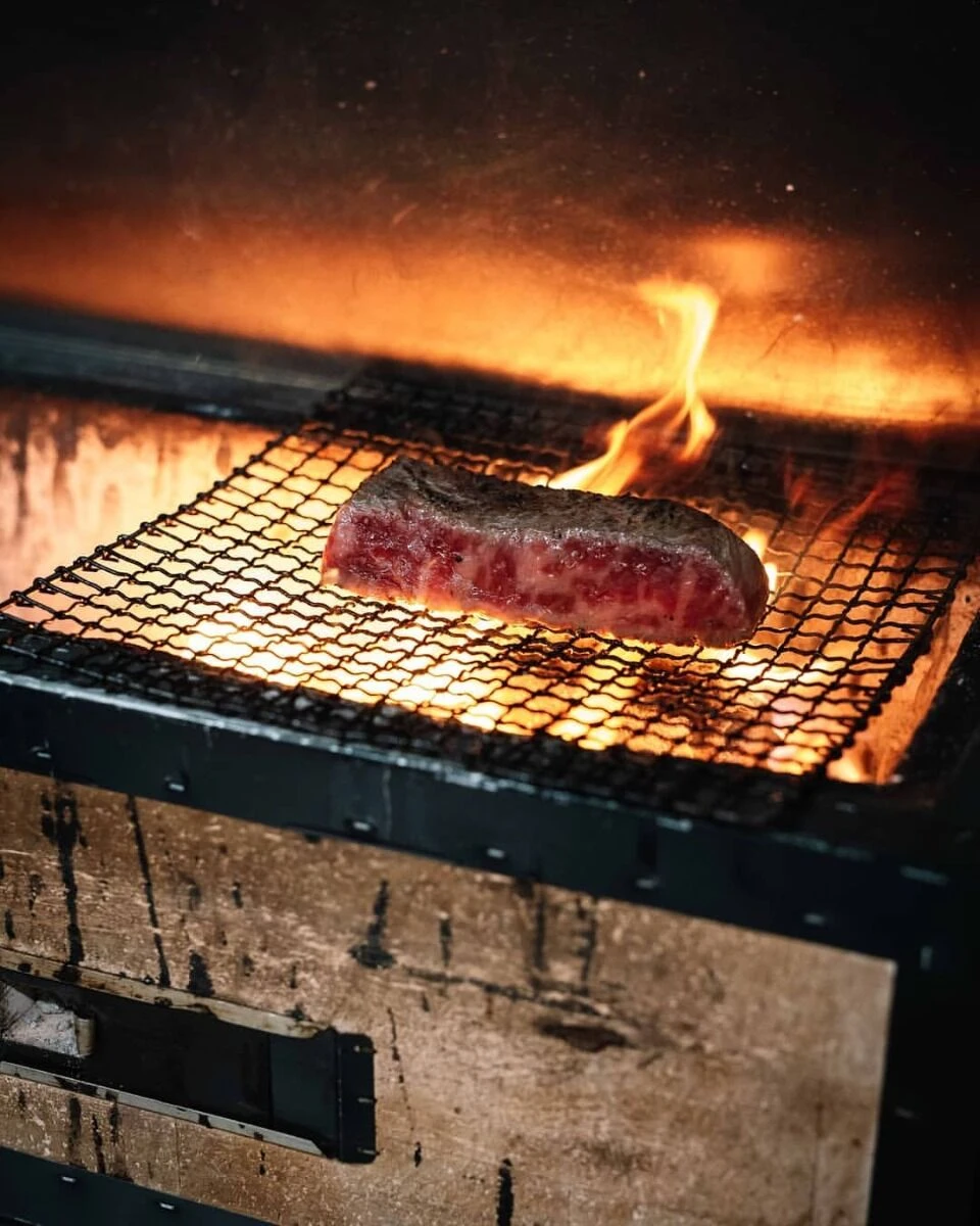 Oldenhof Konro Grill Diatomite Japanse Barbecue B-10 54 X 23 X 20 Cm 2 Oldenhof Konro Grill Diatomite Japanse Barbecue B-10 54 X 23 X 20 Cm - Afbeelding 2