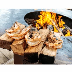 OFYR XL Barbecue -Kamado Joe Verkoop ofyr xl 1