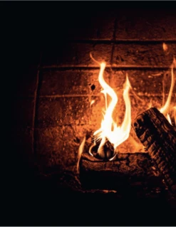 Smokey Goodness - Burgers & BBQ Bites -Kamado Joe Verkoop schermafbeelding 2021 03 24 om 13.25.05