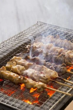 Oldenhof Konro Grill Diatomite Japanse Barbecue B-10 54 X 23 X 20 Cm 5 Oldenhof Konro Grill Diatomite Japanse Barbecue B-10 54 X 23 X 20 Cm -Kamado Joe Verkoop shutterstock 556753543 1